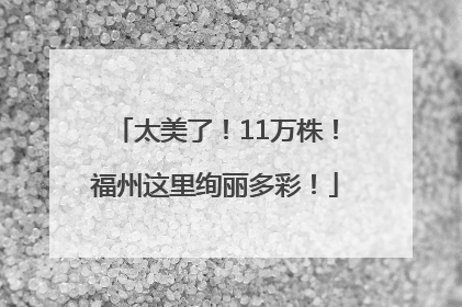 太美了！11万株！福州这里绚丽多彩！